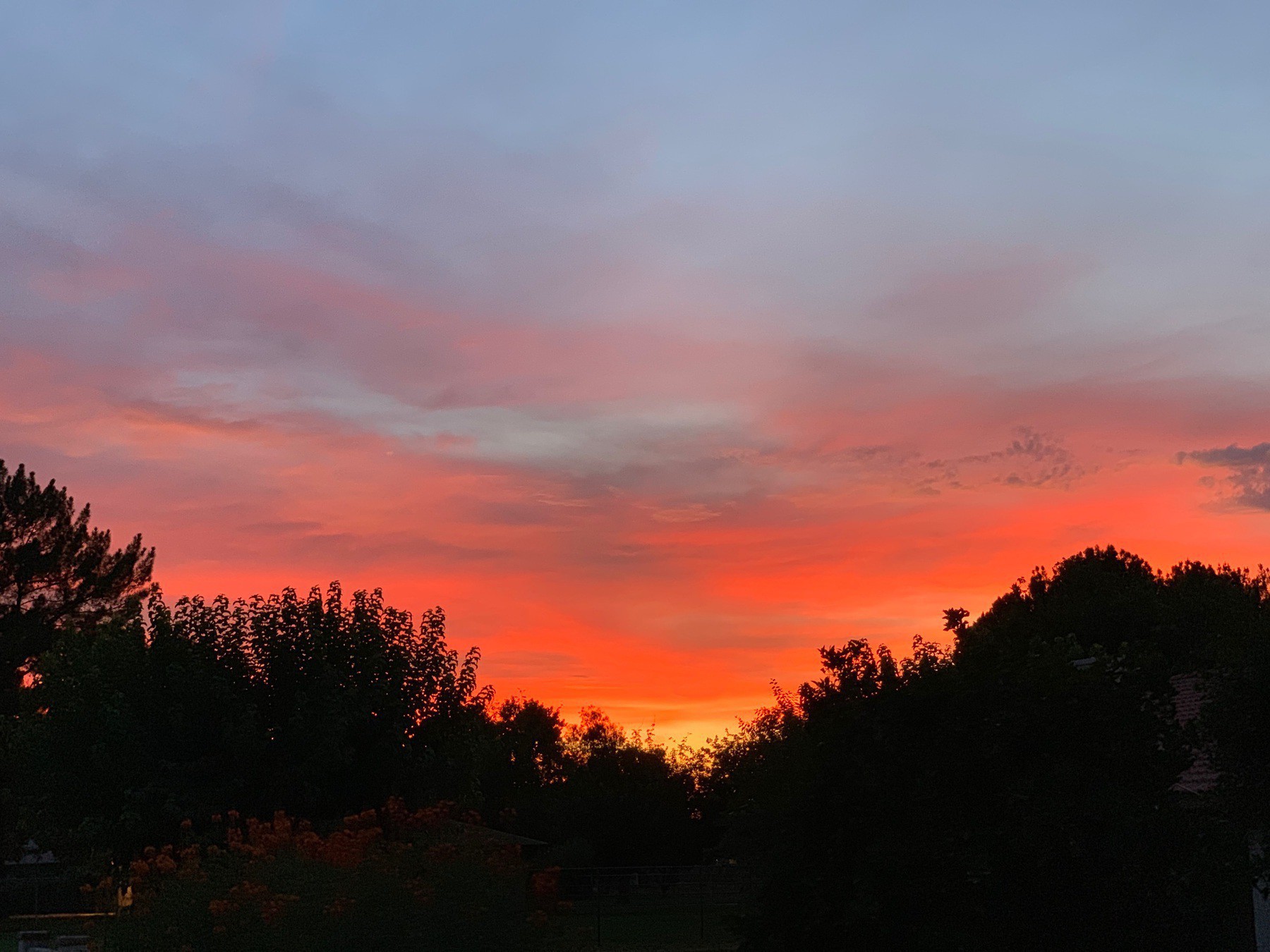 sunset sky of blue fading to fire red with tree silhouettes along image bottom